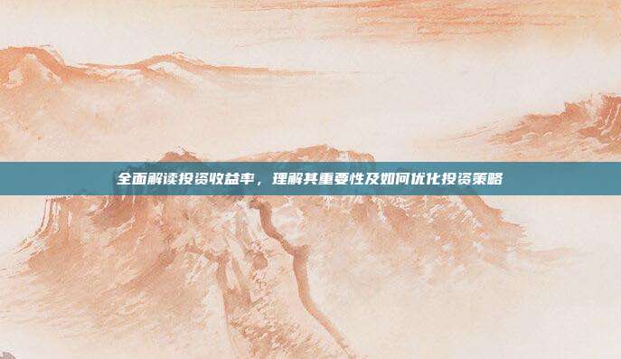 全面解读投资收益率，理解其重要性及如何优化投资策略