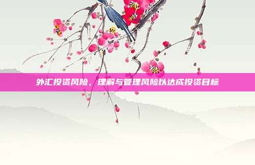 外汇投资风险，理解与管理风险以达成投资目标