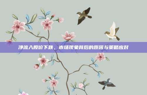 净流入股价下跌，市场现象背后的原因与策略应对