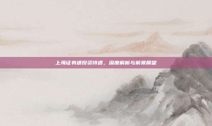 上海证券通投资待遇，深度解析与前景展望