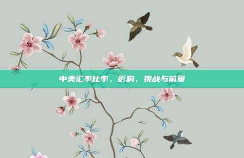 中美汇率比率，影响、挑战与前景