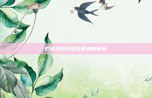 巴菲特投资理念的深度解析