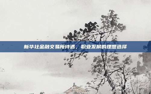 新华社金融交易所待遇，职业发展的理想选择