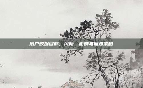 用户数据泄漏，风险、影响与应对策略