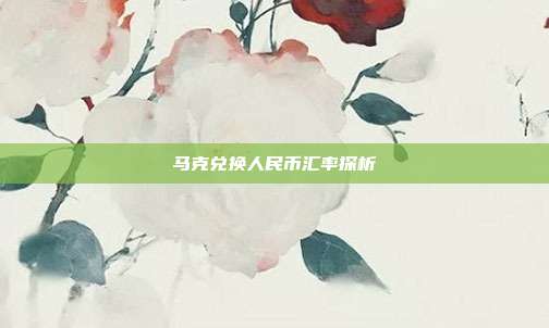 马克兑换人民币汇率探析