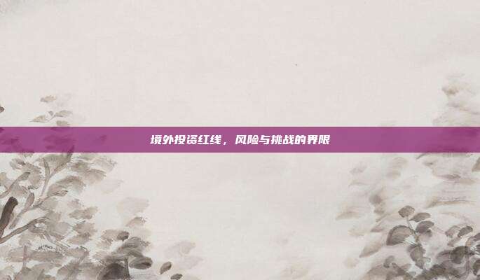 境外投资红线，风险与挑战的界限