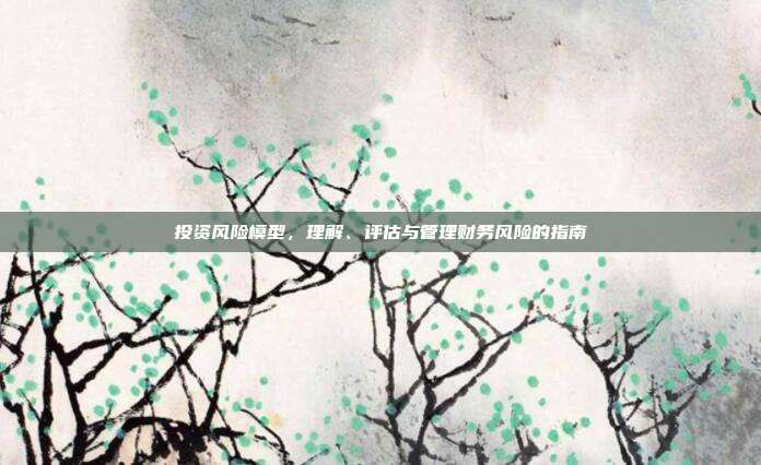投资风险模型，理解、评估与管理财务风险的指南