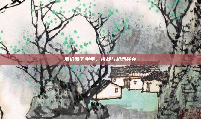股价跌了半年，挑战与机遇并存