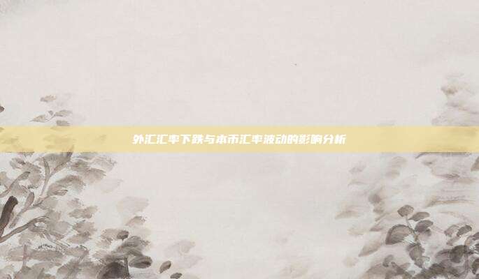 外汇汇率下跌与本币汇率波动的影响分析