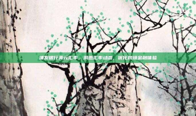 浦发银行美元汇率，洞悉汇率动态，优化跨境金融体验