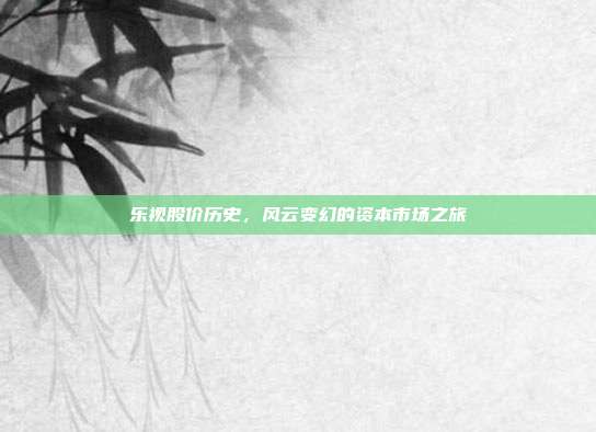 乐视股价历史，风云变幻的资本市场之旅