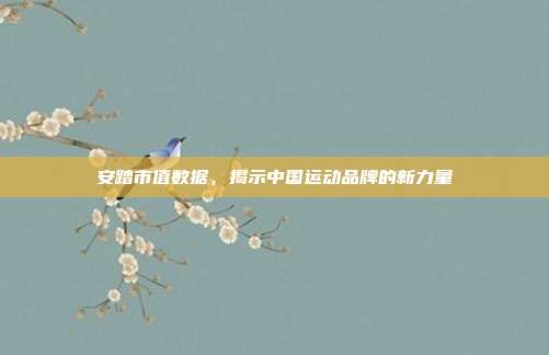 安踏市值数据，揭示中国运动品牌的新力量