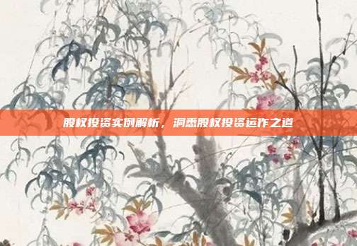 股权投资实例解析，洞悉股权投资运作之道