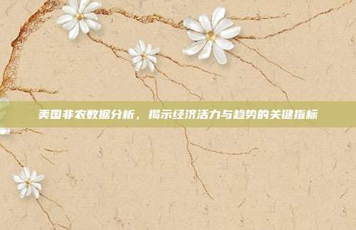 美国非农数据分析，揭示经济活力与趋势的关键指标
