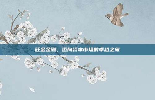 旺金金融，迈向资本市场的卓越之旅