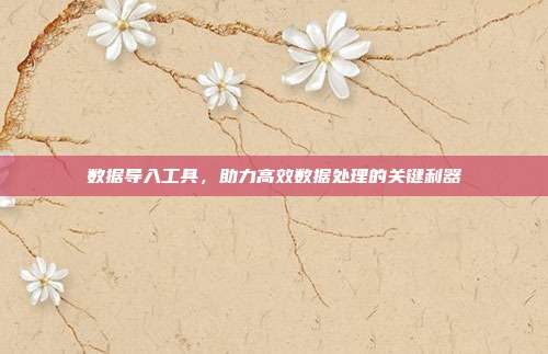 数据导入工具，助力高效数据处理的关键利器