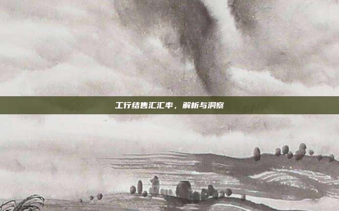 工行结售汇汇率，解析与洞察