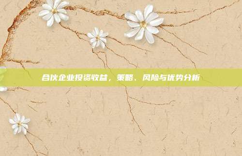 合伙企业投资收益，策略、风险与优势分析