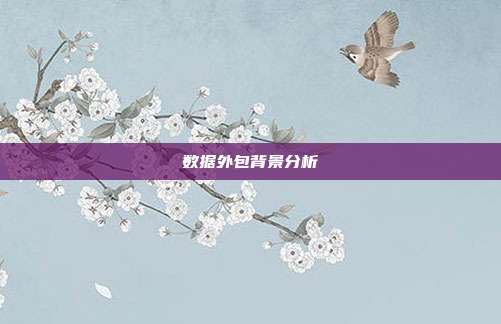 数据外包背景分析