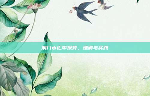 澳门币汇率换算，理解与实践
