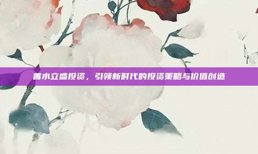 善水立盛投资，引领新时代的投资策略与价值创造