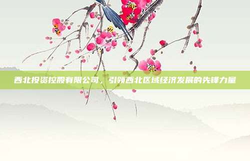 西北投资控股有限公司，引领西北区域经济发展的先锋力量