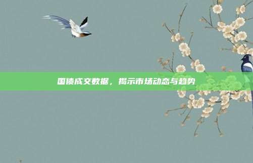 国债成交数据，揭示市场动态与趋势