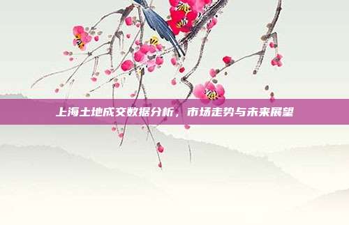 上海土地成交数据分析，市场走势与未来展望