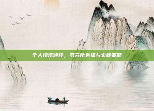 个人投资途径，多元化选择与实践策略