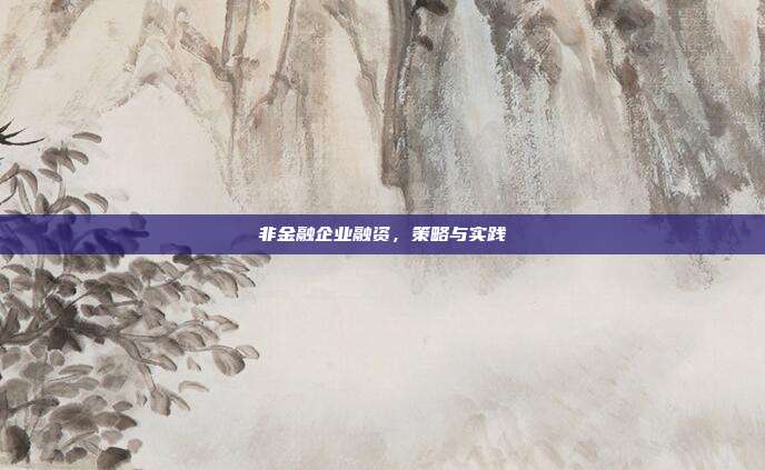 非金融企业融资，策略与实践
