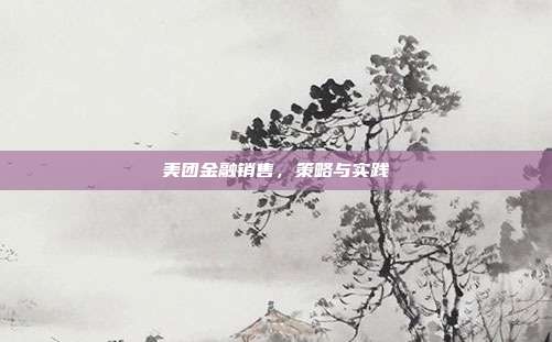 美团金融销售，策略与实践