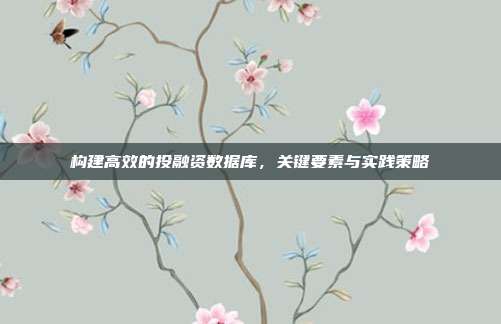 构建高效的投融资数据库，关键要素与实践策略