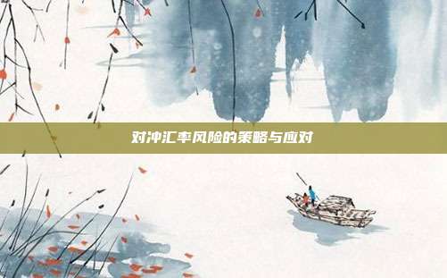 对冲汇率风险的策略与应对