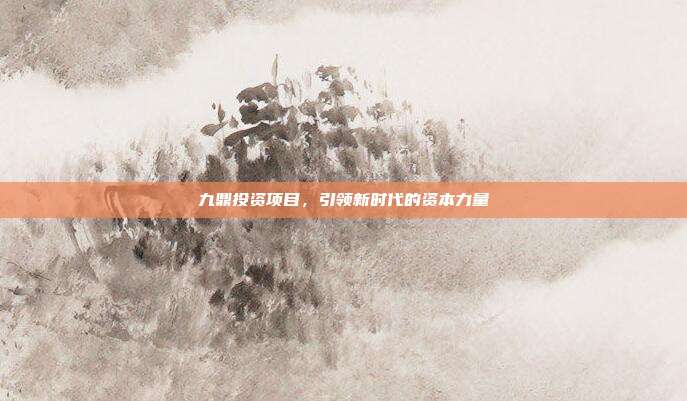 九鼎投资项目，引领新时代的资本力量