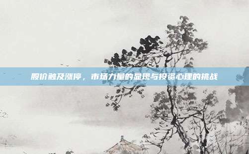 股价触及涨停，市场力量的显现与投资心理的挑战