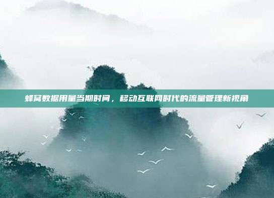 蜂窝数据用量当期时间，移动互联网时代的流量管理新视角