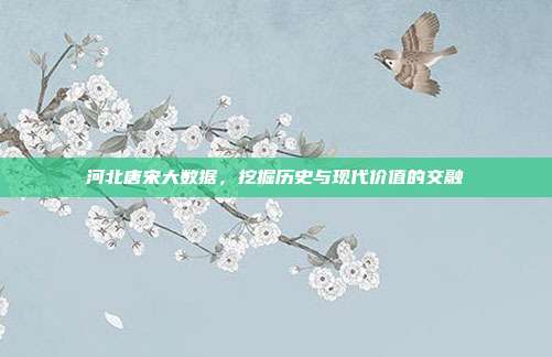 河北唐宋大数据，挖掘历史与现代价值的交融