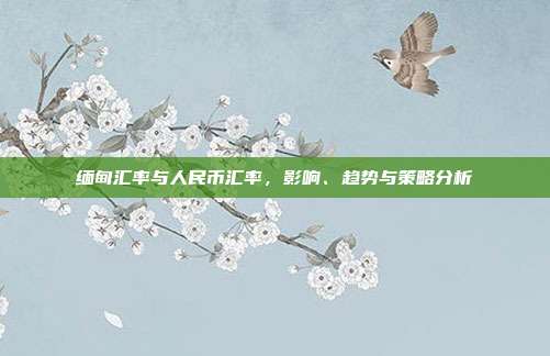 缅甸汇率与人民币汇率，影响、趋势与策略分析