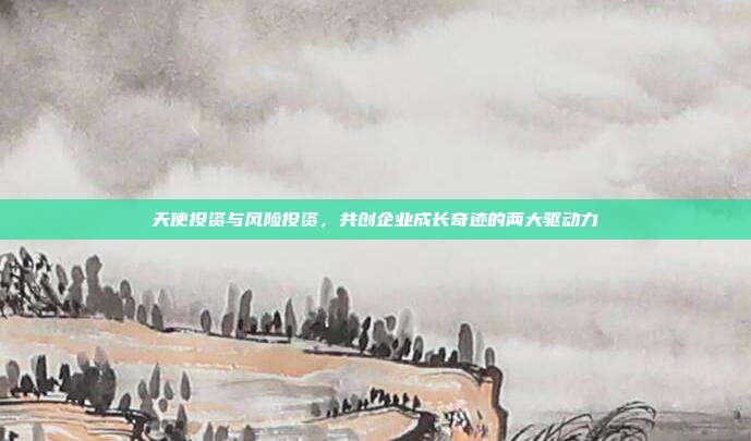 天使投资与风险投资，共创企业成长奇迹的两大驱动力