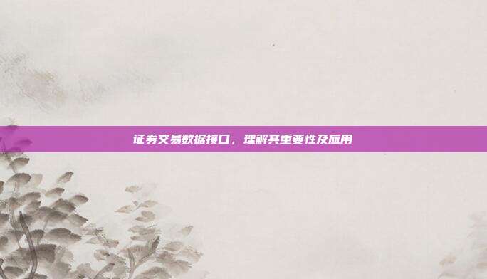 证券交易数据接口，理解其重要性及应用