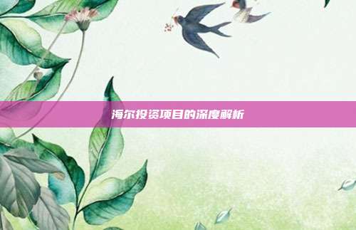 海尔投资项目的深度解析