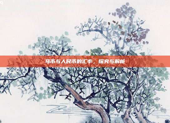 马币与人民币的汇率，探究与解析