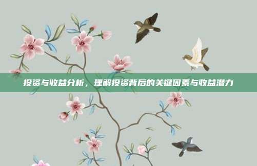 投资与收益分析，理解投资背后的关键因素与收益潜力