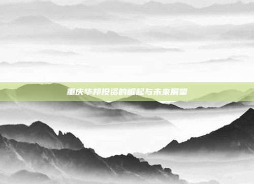 重庆华邦投资的崛起与未来展望