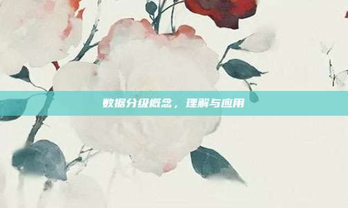 数据分级概念，理解与应用