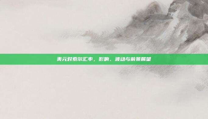 美元对索尔汇率，影响、波动与前景展望