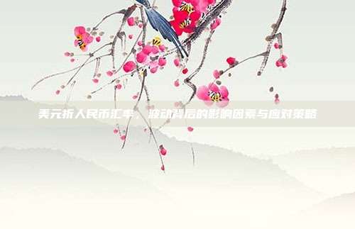 美元折人民币汇率，波动背后的影响因素与应对策略