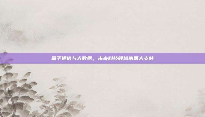 量子通信与大数据，未来科技领域的两大支柱