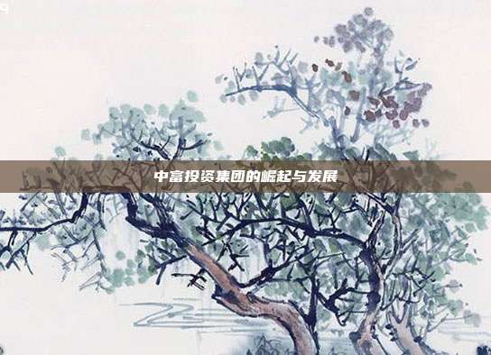 中富投资集团的崛起与发展