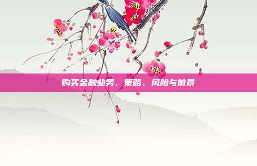 购买金融业务，策略、风险与前景